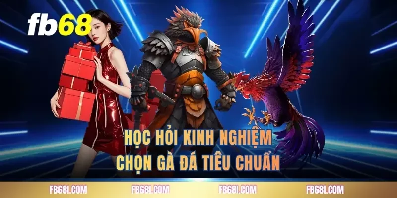 Học hỏi kinh nghiệm chọn gà đá tiêu chuẩn